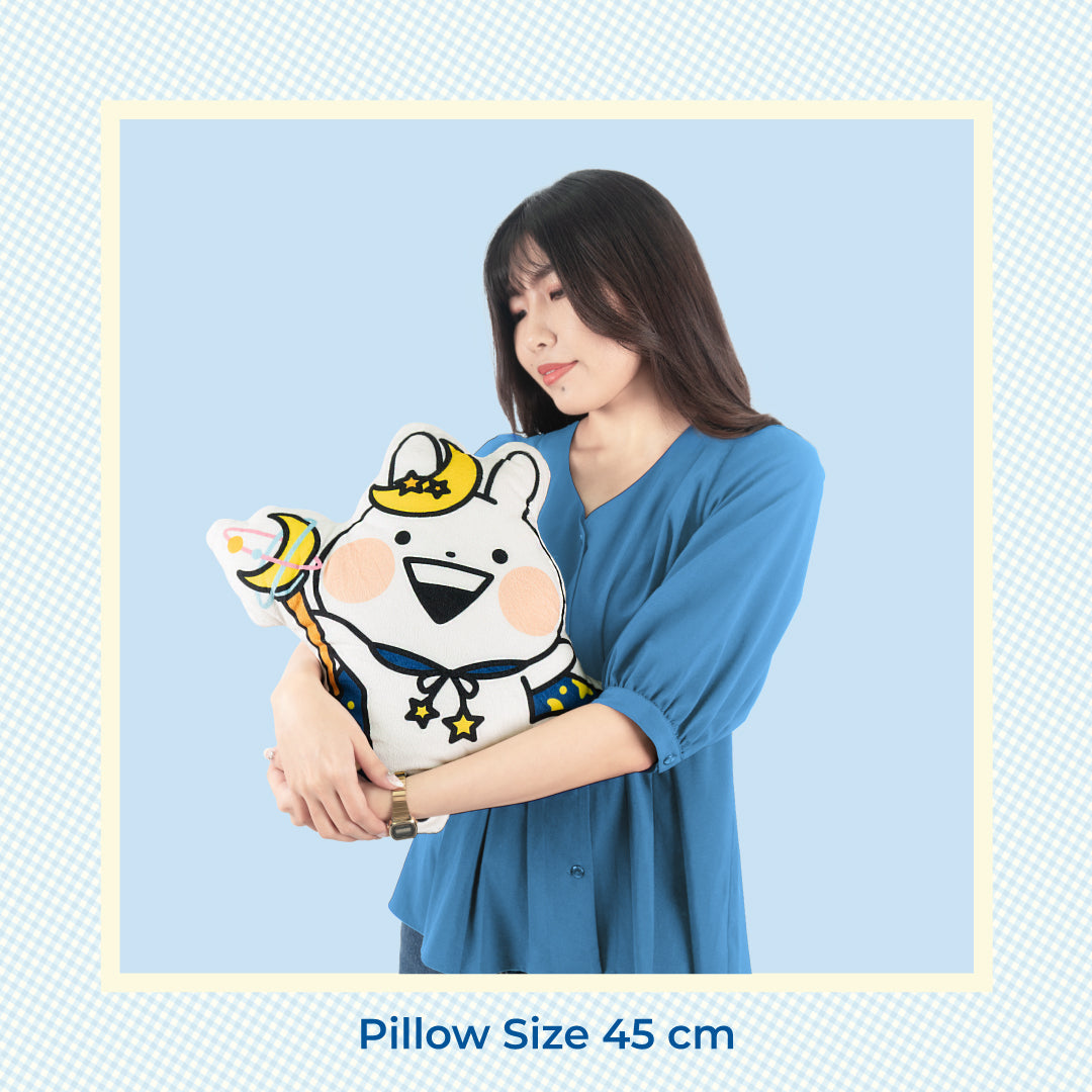 Piyomaru custom pillow (Made by order products)