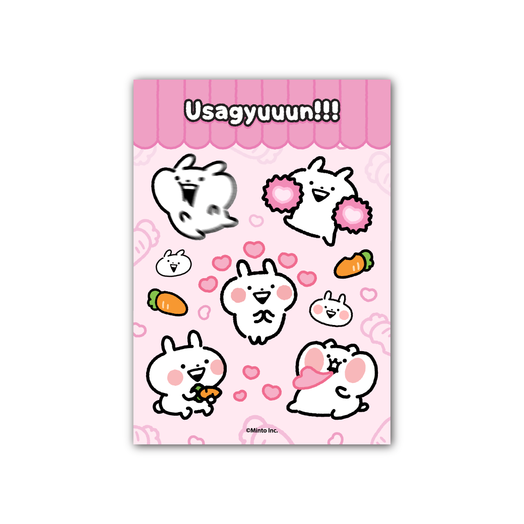[Pre-Order] Usagyuuun Fast and Fuzzy A5 Sticker